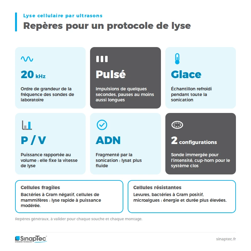 chiffres clés lyse cellulaire ultrasons